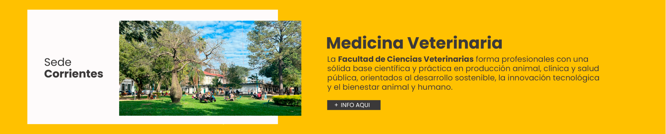 pagina 1 ciencias veterinarias