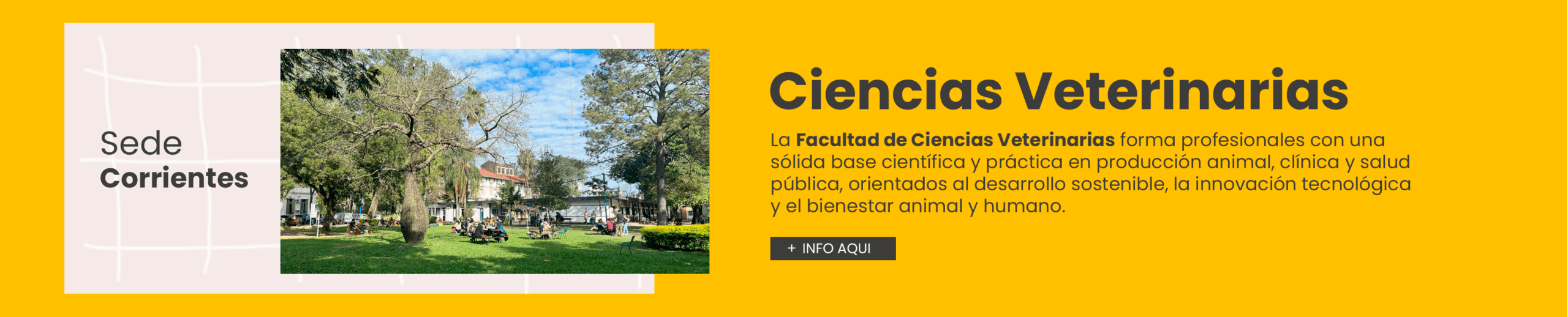 pagina 1 ciencias veterinarias