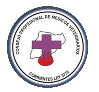 consejo MV corrientes